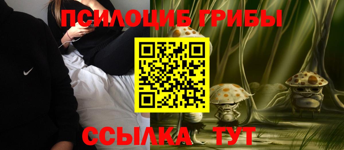 Миасс  Псилоцибиновые грибы Magic Shrooms  Псилоцибиновые грибы Psilocybe  где можно купить   Вход с VPN 